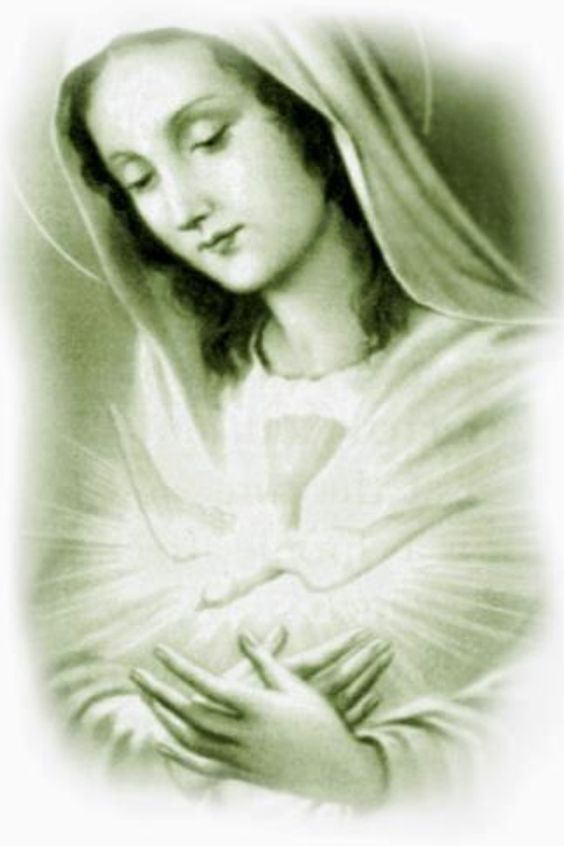 O Jesus living in Mary, come and live in Thy servants. In the spirit of Thy holiness, in the fullness of Thy might, in the truth of Thy virtues, in the perfection of Thy ways, in the communion of Thy mysteries. Subdue every hostile power in Thy spirit, for the glory of the Father. Amen