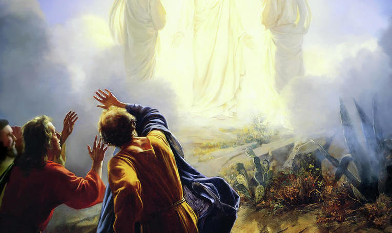 HOMILY FOR THE FEAST OF THE TRANSFIGURATION OF THE LORD (1). - Catholic For Life
